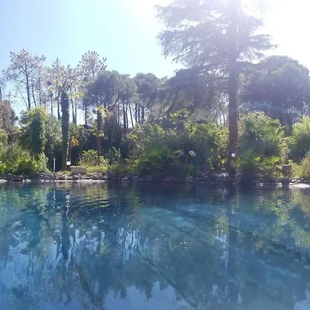 Verparadis *