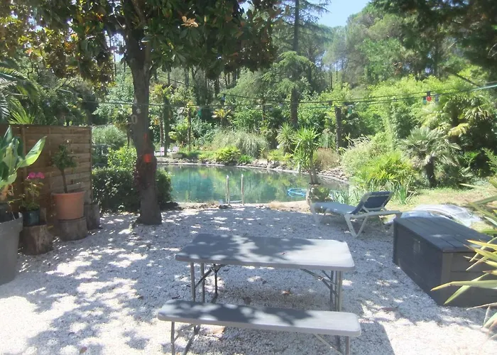 Verparadis